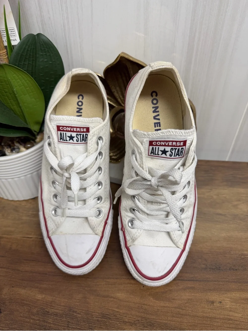 Converse Kids White Canvas Low Top Sneakers with Red Trim